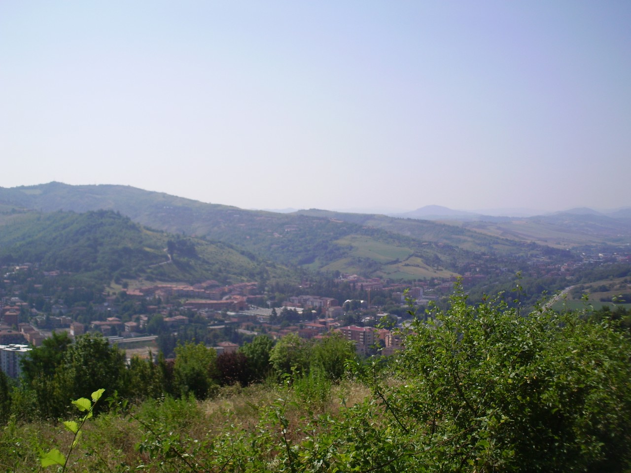Panorama