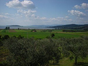 Trasimeno meer