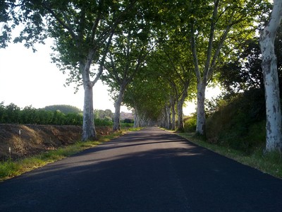 Zie ik daar een bocht?