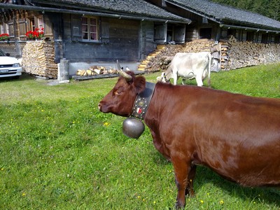 Zo&rsquo;n mooie bel moet op de foto