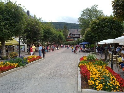 Titisee