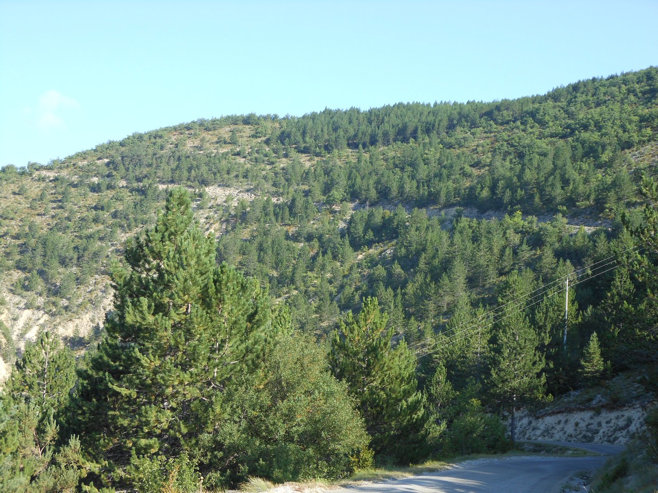 Een