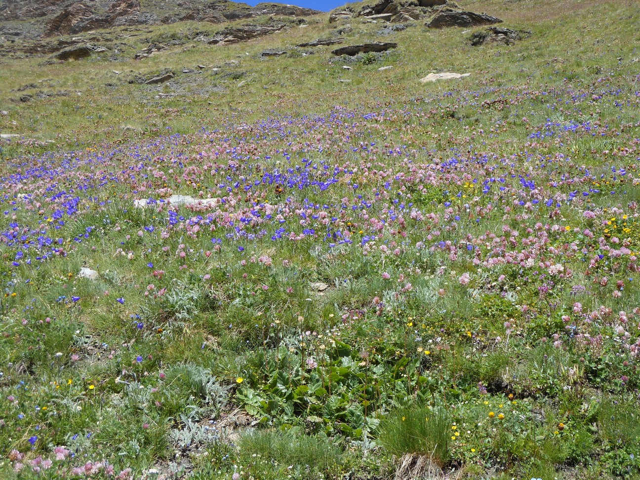 ... en een heleboel klokjes