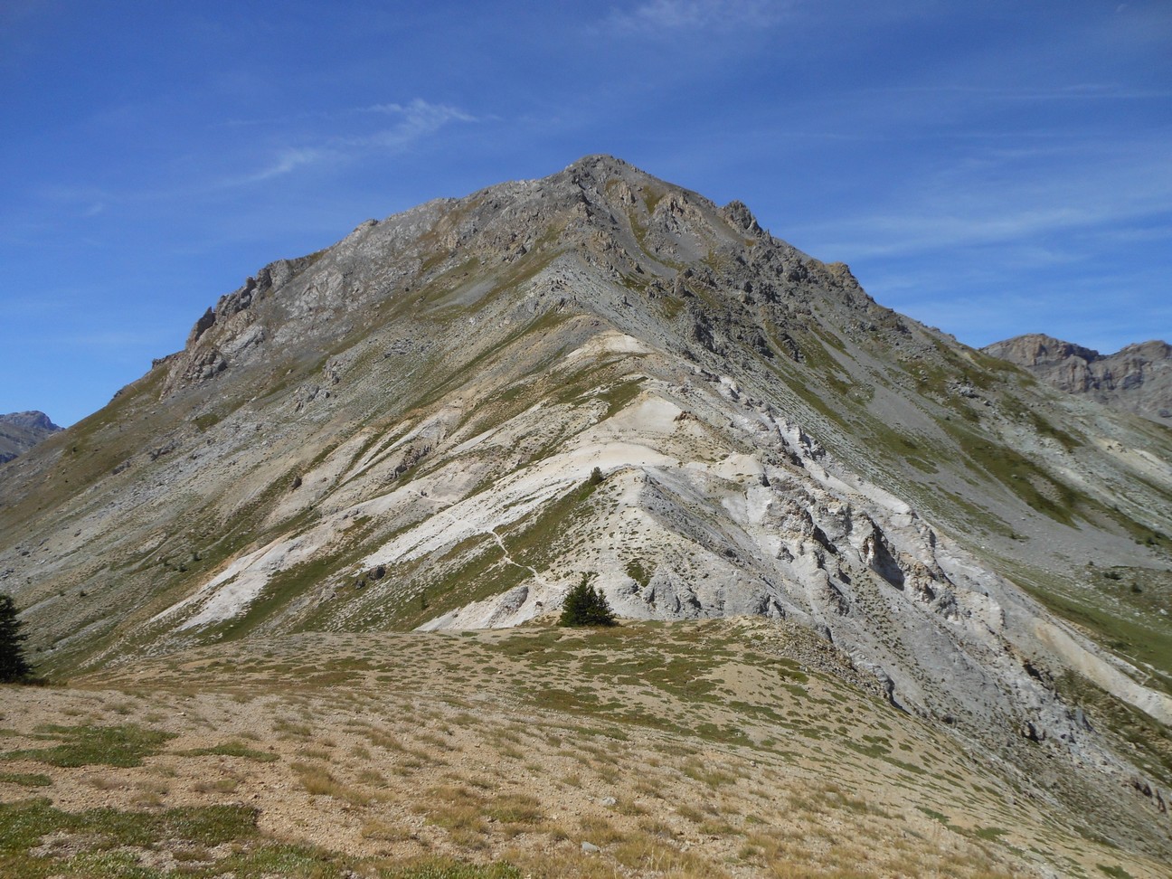 Slechts een enkel boompje, verder is alles kaal