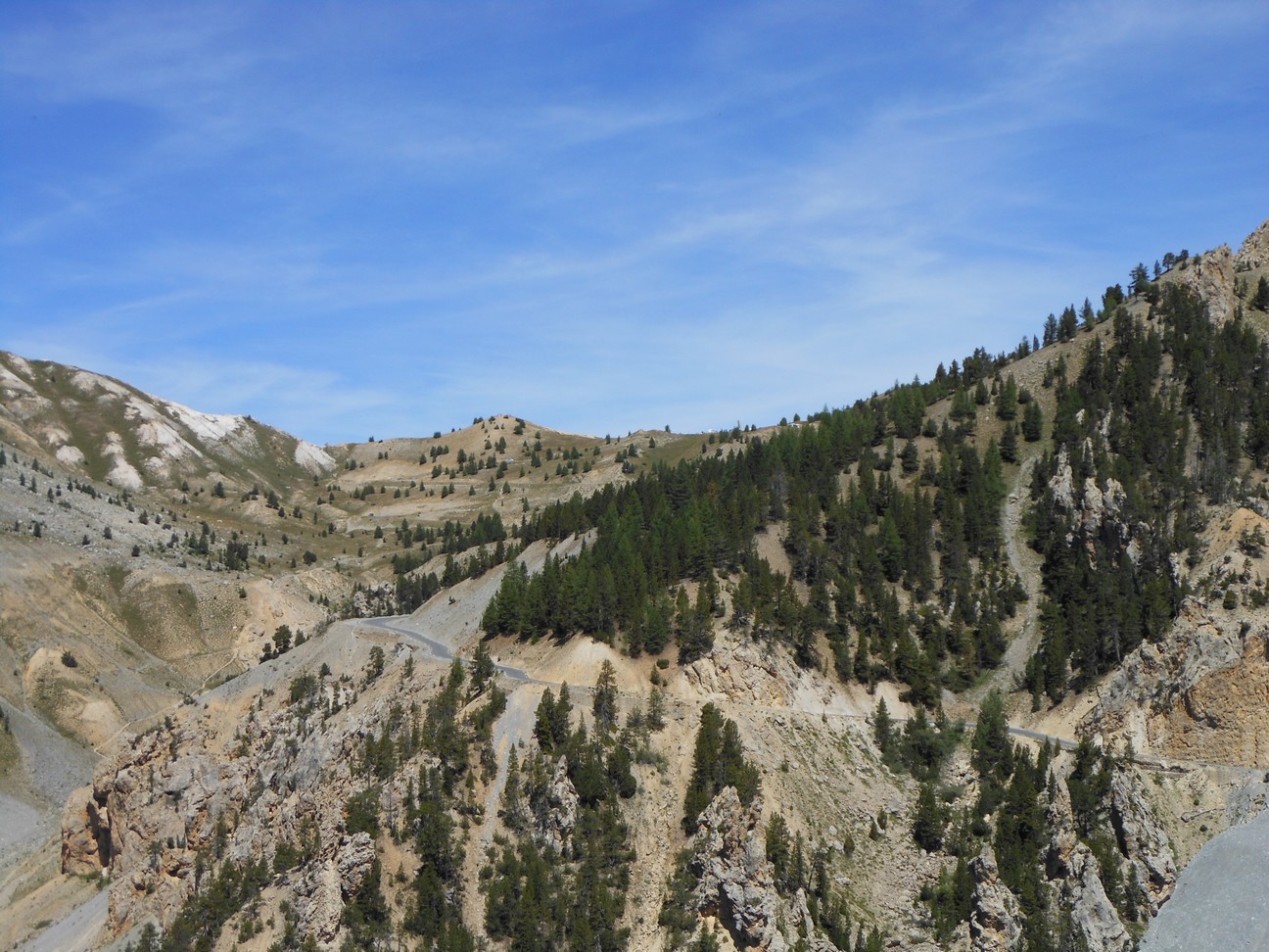 Langzaam komen de bomen terug