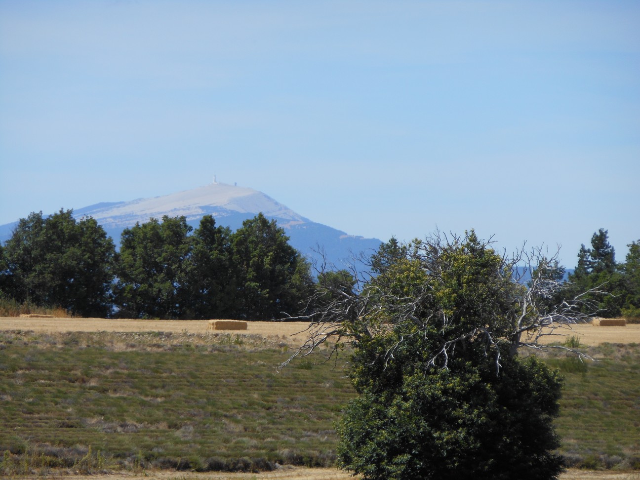 Eerste blik op de Mont Ventoux, maar die is voor morgen