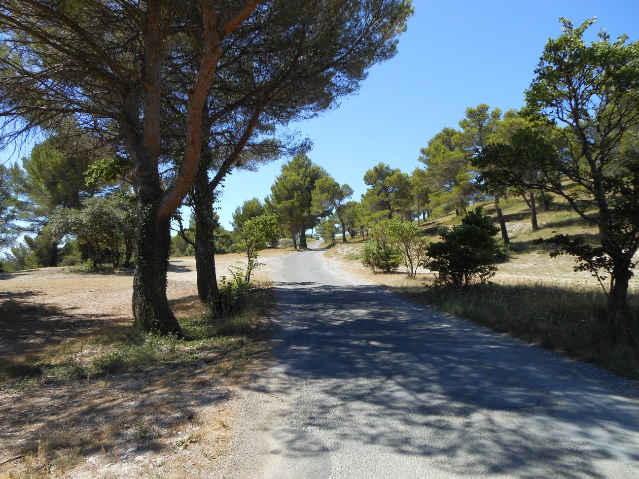 Via een rustige weg naar Carpentras